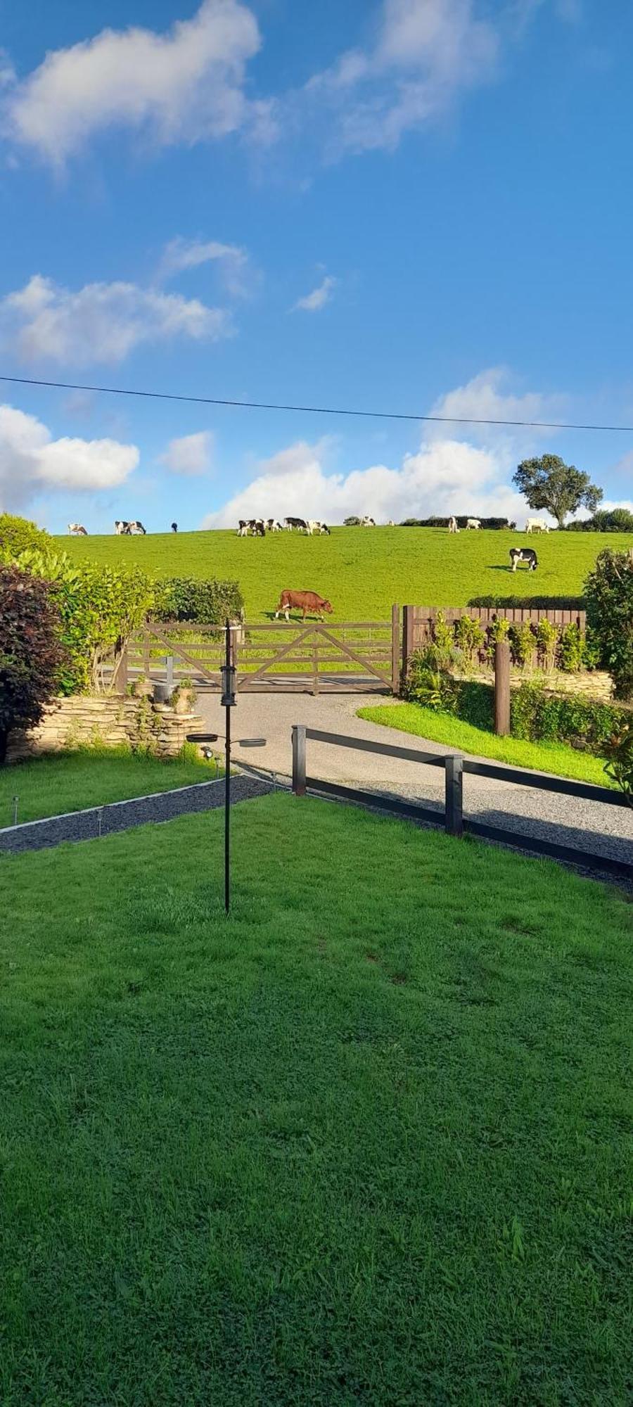 Saint Teath Wisteria Barn, Trewethen, St Teath, Nr Port Isaacヴィラ エクステリア 写真