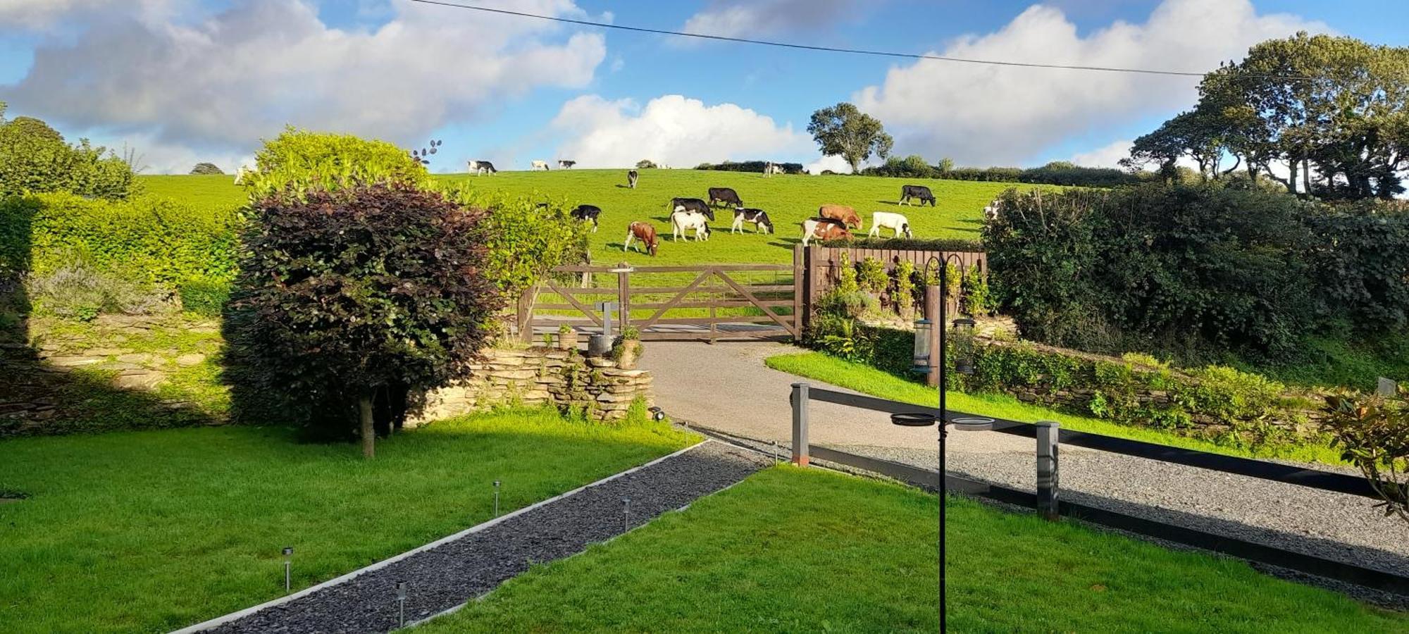 Saint Teath Wisteria Barn, Trewethen, St Teath, Nr Port Isaacヴィラ エクステリア 写真